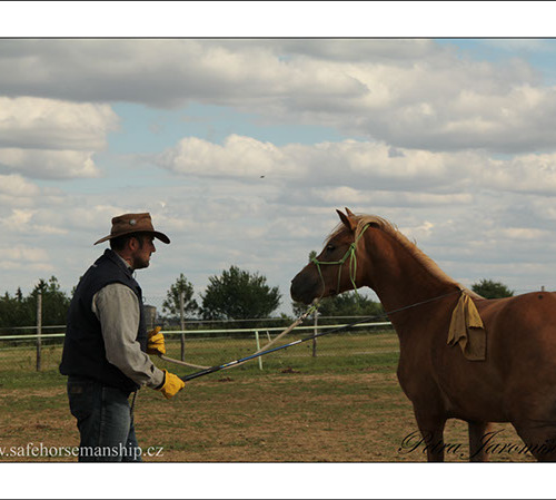 Seminář SAFE HORSEMANSHIPU na Pecharovo Ranči v Račiněvsi 23.7.2011